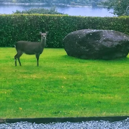Bay View Haven * Kenmare